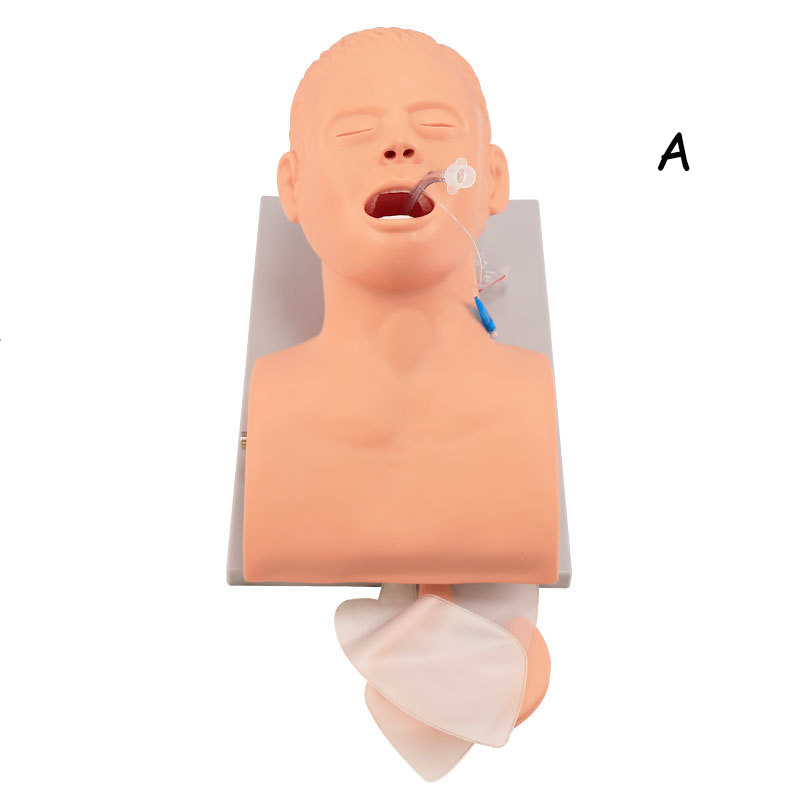Nhựa PVC Người Lớn Đặt Nội Khí - đánh giá và giá Medical Lab Management