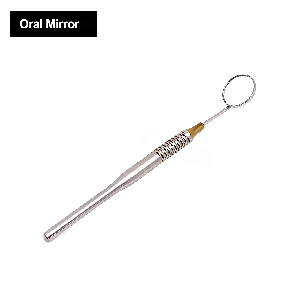 1Pc Stainless Steel Dental Mou - đánh giá và giá Dental Mirror Probe
