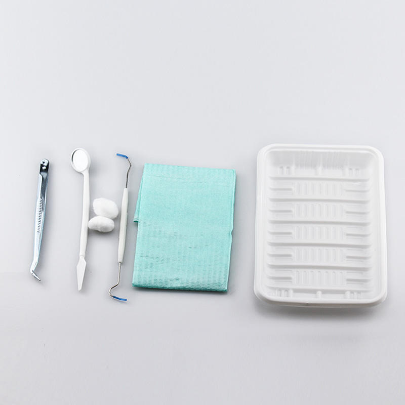 TJDent Disposable Dental Oral  - đánh giá và giá Dental Mirror Probe