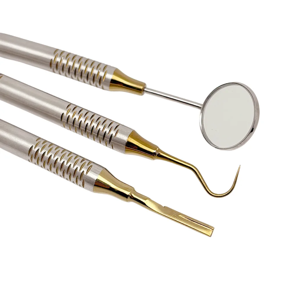 Stainless Steel Dental Mouth M - đánh giá và giá Dental Mirror Probe