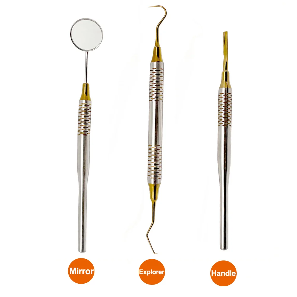 Stainless Steel Dental Mouth M - đánh giá và giá Dental Mirror Probe